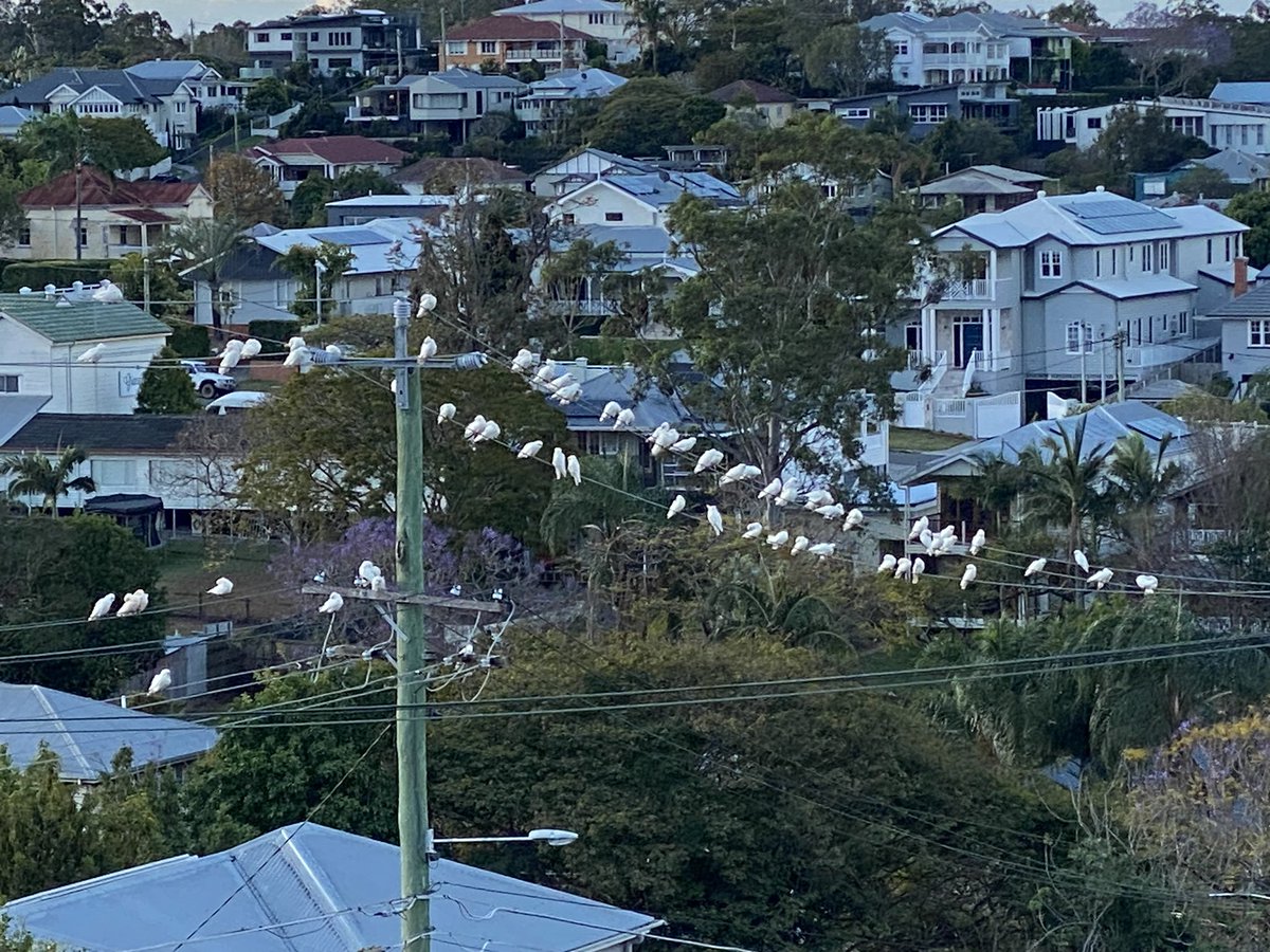 Nicole Melanson tweet media