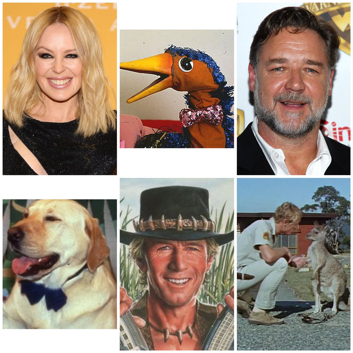 welshbollocks's tweet photo. "Kylie Minogue, Emu, Crocodile Dundee, Bouncer, Russell Crowe, Skippy the bush kangaroo...... YOUR BOYS TOOK ONE HELL OF A BEEEEEEAAAAAAATING....." 😂🏴󠁧󠁢󠁷󠁬󠁳󠁿🏉 https://t.co/OkA4FJpBXf