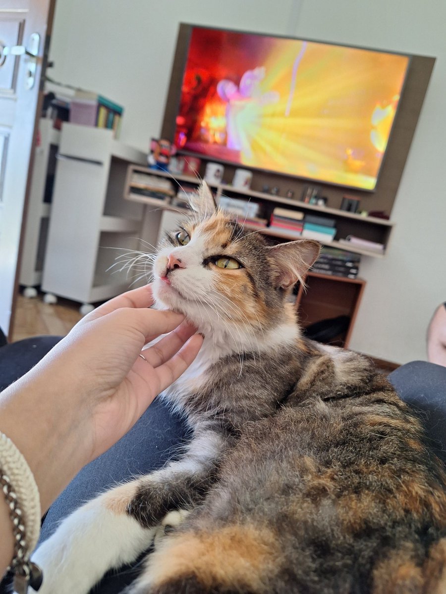 mfastyles's tweet photo. te amo luna recebendo carinho com a linguinha pra fora te amo https://t.co/ke7TzZPJY7