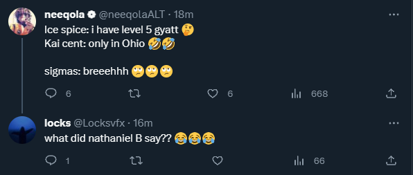 niqnammer tweet media