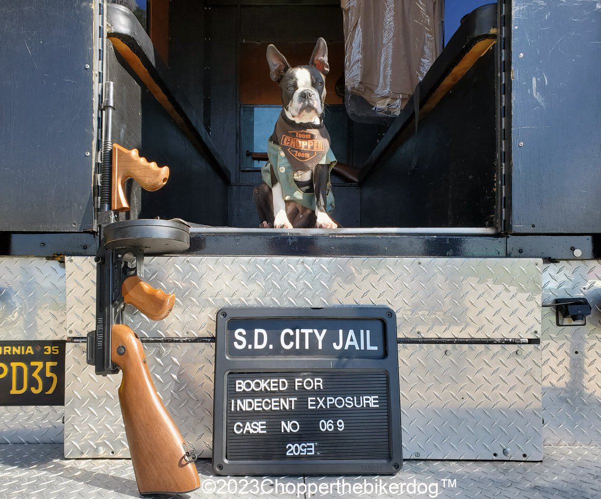 ChopperBikerDog's tweet photo. BUSTED!!! ๐คฃ๐คฃ
#Chopper #Bikerdog #TeamChopper #ChopperJr #LittleChopper #LilChopper #Chopper2 #ChopperII https://t.co/rqB20C07NO