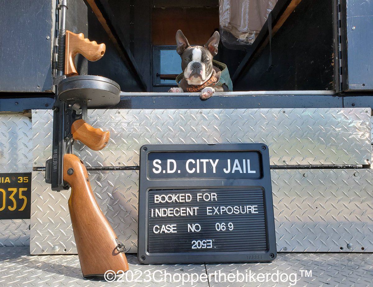 ChopperBikerDog's tweet photo. BUSTED!!! ๐คฃ๐คฃ
#Chopper #Bikerdog #TeamChopper #ChopperJr #LittleChopper #LilChopper #Chopper2 #ChopperII https://t.co/rqB20C07NO