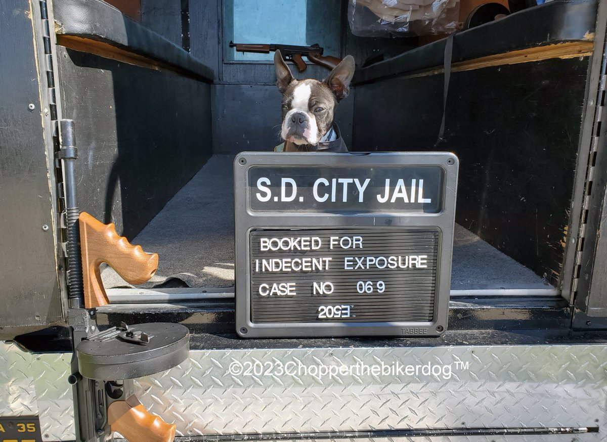ChopperBikerDog's tweet photo. BUSTED!!! ๐คฃ๐คฃ
#Chopper #Bikerdog #TeamChopper #ChopperJr #LittleChopper #LilChopper #Chopper2 #ChopperII https://t.co/rqB20C07NO