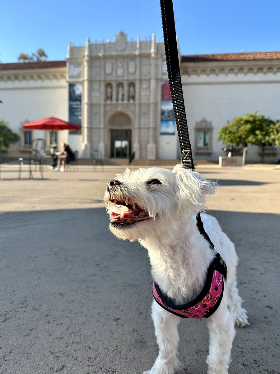 Last hurrah before ✈️ home to 🍁 Happy Sunday, friends! ❤️🐾🥰