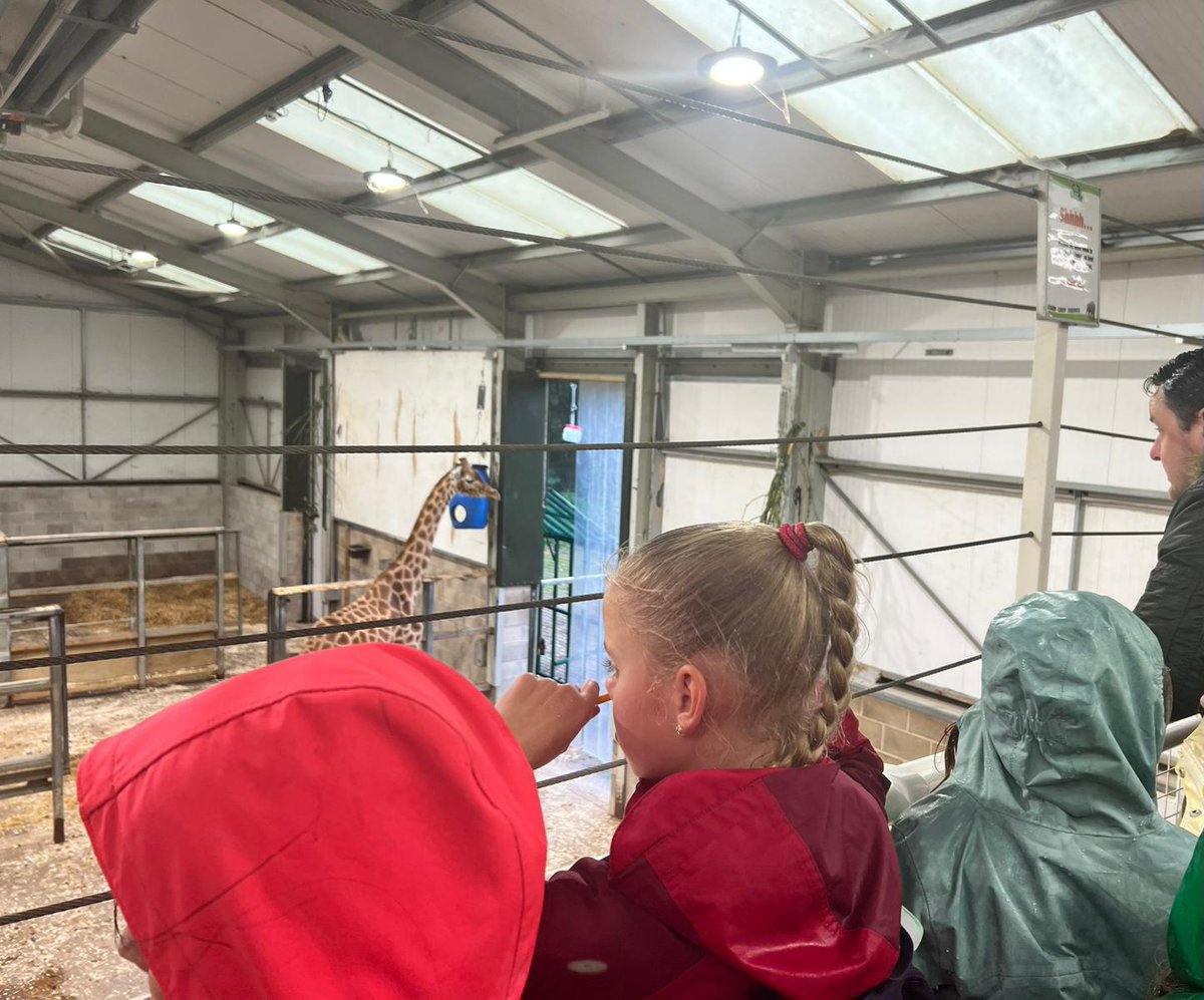 GirlguidingBly's tweet photo. Burnley Brownies have joined hundreds of others from across @Girlguiding_LE in our County trip to @BlackpoolZoo today! https://t.co/UaGryIxrO4