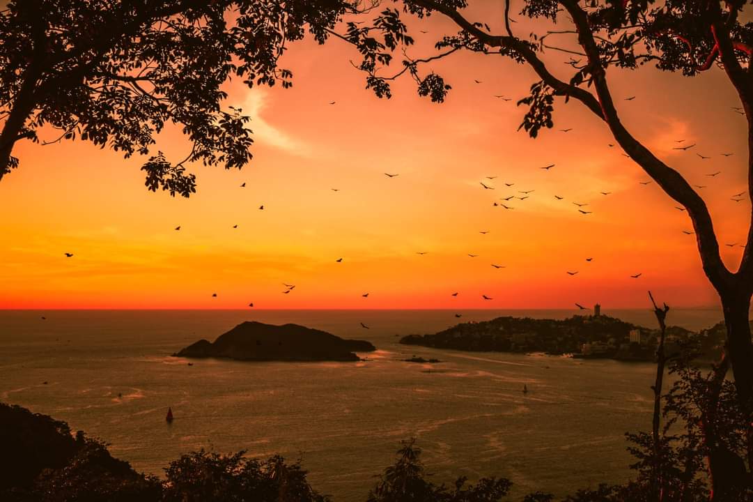Atardeceres que enamoran 🌅 #lacostatv #acapulco #sunset  📸