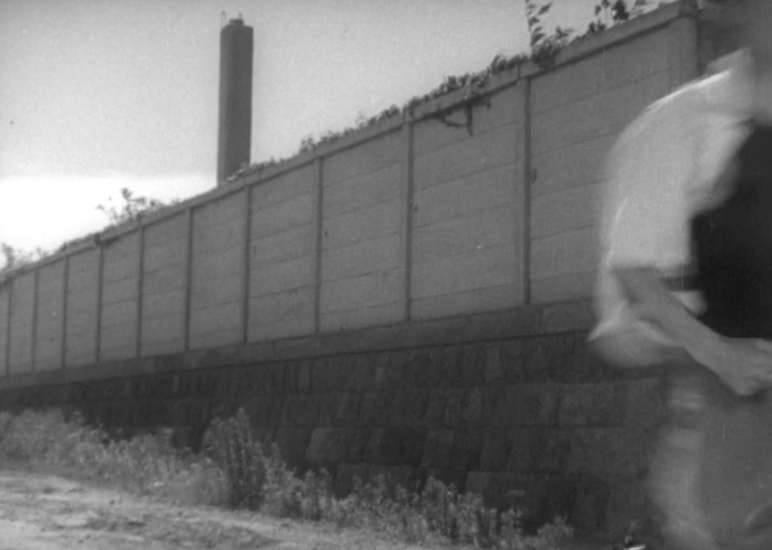 ginn233's tweet photo. Stray Dog (1949) #actionsequences #kurosawa #FilmTwitter @Tico_Romao @BoldenSkip @MovieKessler @VannWolfgang @coenesqued2 https://t.co/Ws53N53a2l