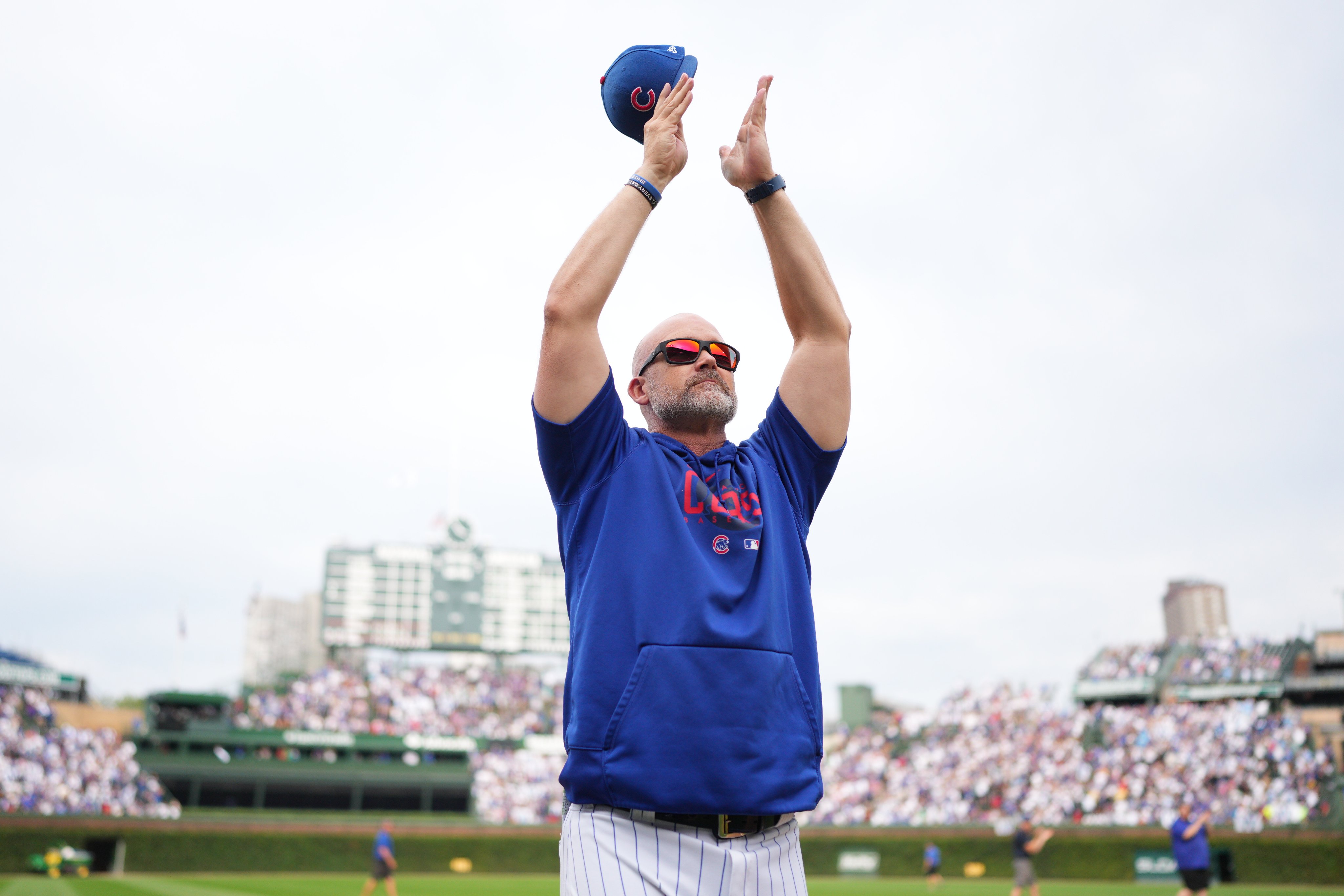 In appreciation of David Ross - Bleed Cubbie Blue