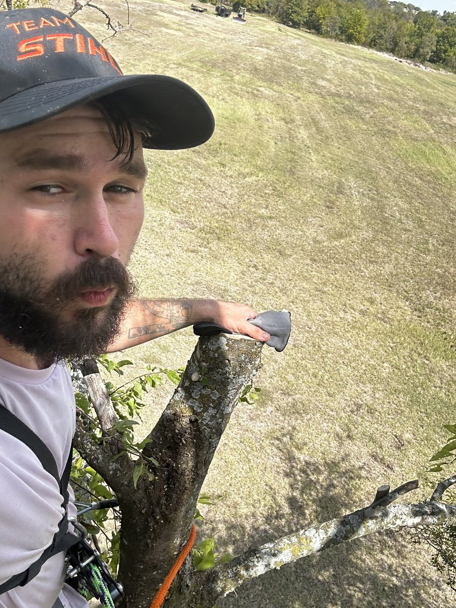 unclehuck666's tweet photo. I started cutting trees and can’t stop https://t.co/9SG5iFnyeT