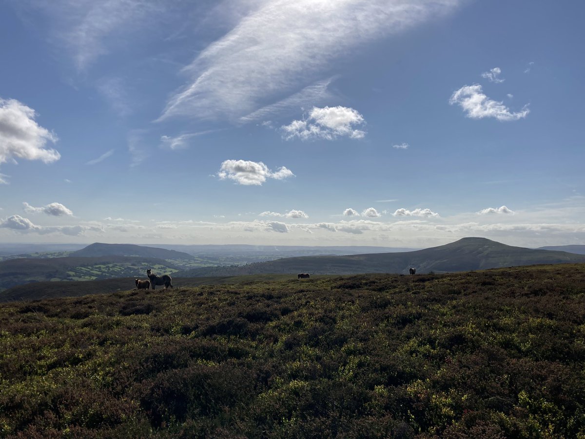 Ty Carreg tweet media