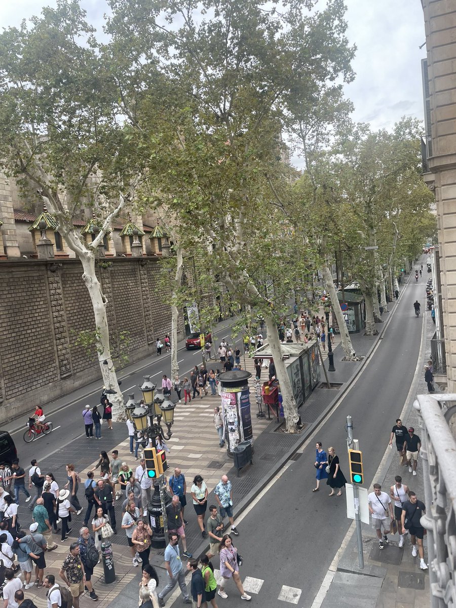 Antics Ocellaires de la Rambla tweet media