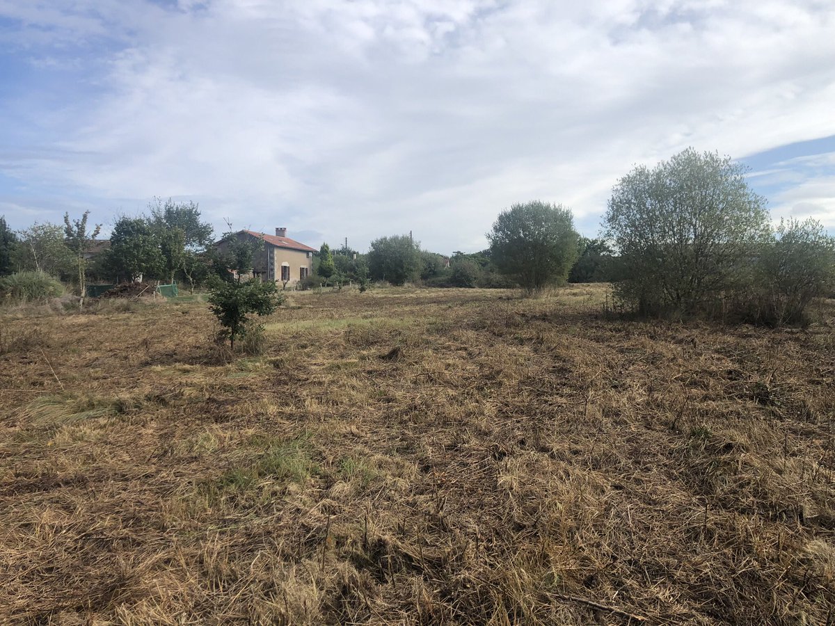 tarnbrookstud's tweet image. It’s all coming together 
La France 🇫🇷