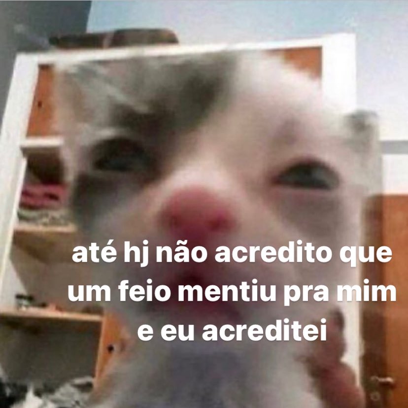 Itspedrito's tweet photo. Até hoje sem acreditar https://t.co/xX8lJRg1cp