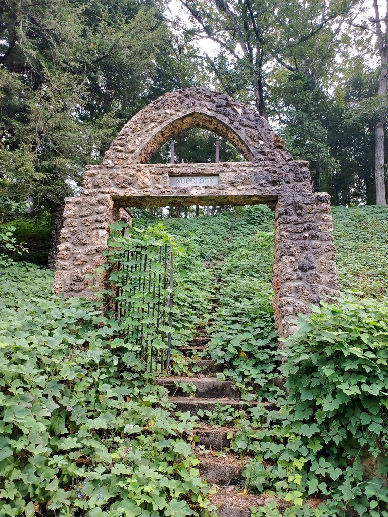 Sarah Kendzior tweet media