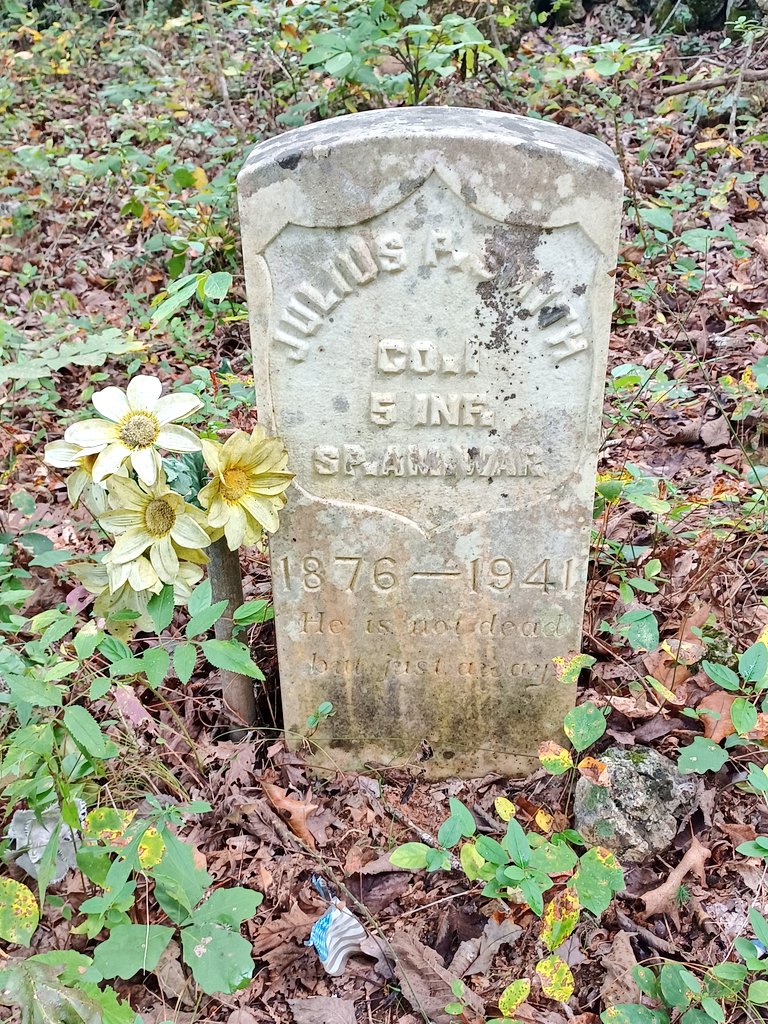 Sarah Kendzior tweet media