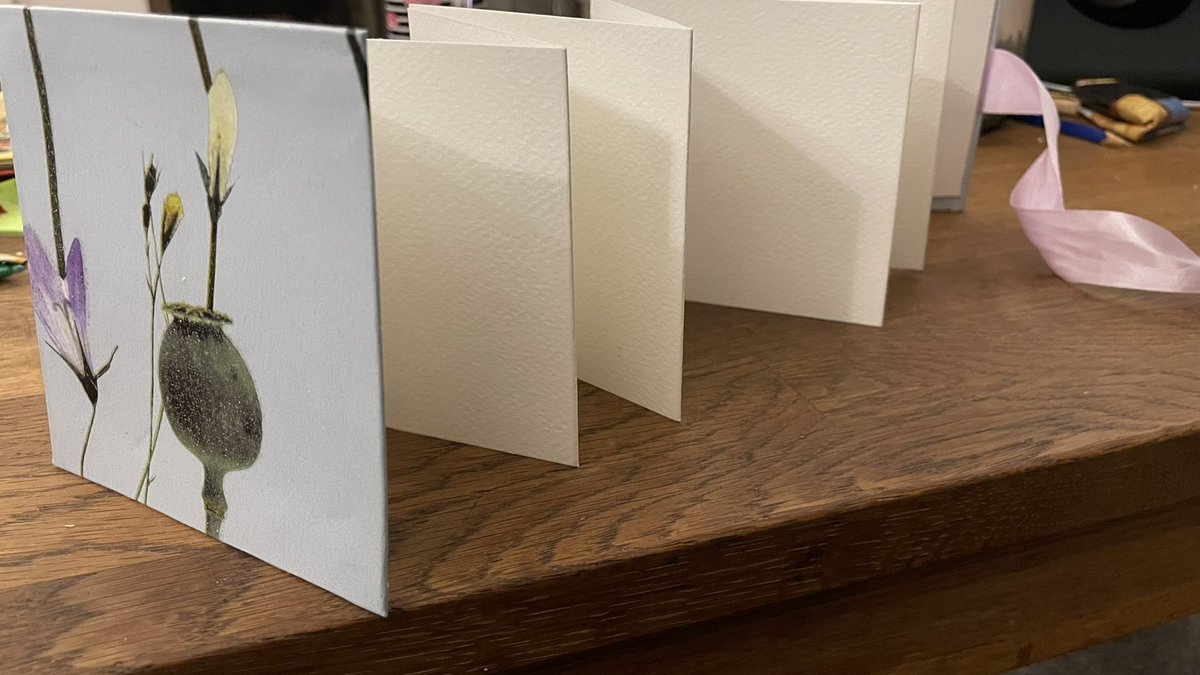 gortex2's tweet photo. What have you been up to this #septemberweekend?
I got creative and made a watercolour concertina sketchbook - good fun & great relaxation. ๐โ๏ธ๐จ https://t.co/QfwPkxkRQT