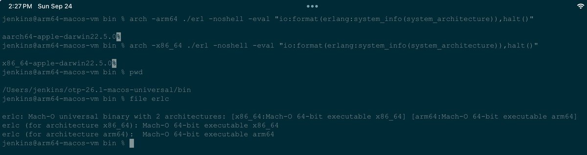 _𝚍𝚒𝚐𝚒𝚝__ 🏳️‍🌈🐕 tweet media