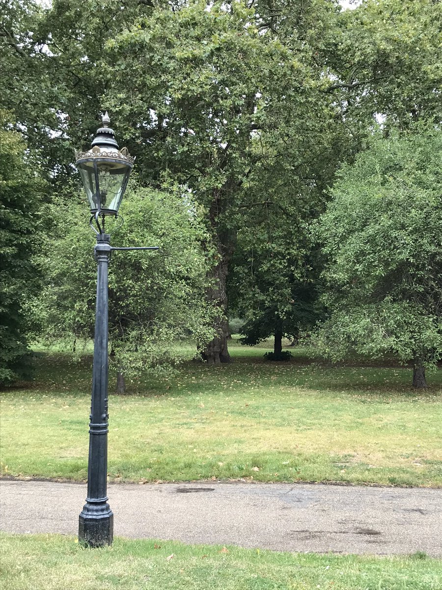 Hope Song tweet media