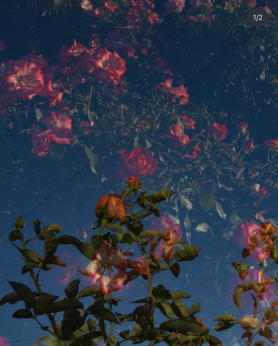 Neil Kryszak (@neilkryszak) on Twitter photo 