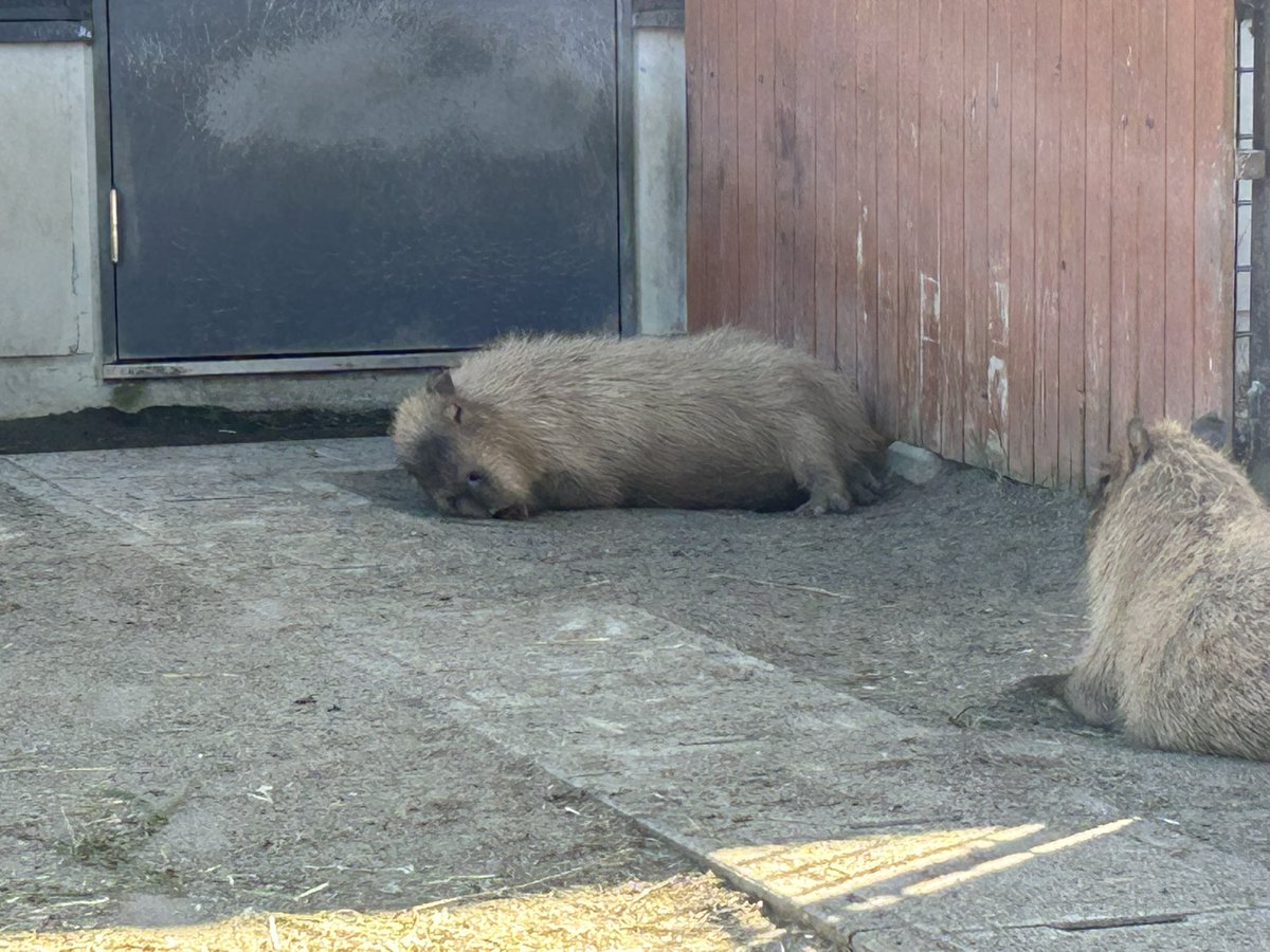 おはようございます。