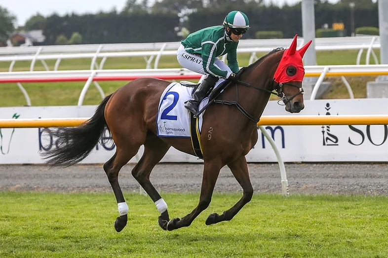 Bloodstock's tweet photo. Best Seller, winner of the 2022 Gold Trail Stakes-Gr.3 and second in Legarto's NZ 1000 Guineas-Gr.1, has been retired.

READ MORE: https://t.co/opaMLnXnzl

https://t.co/SVnKCPJi5p https://t.co/a6l0Kn7AjN