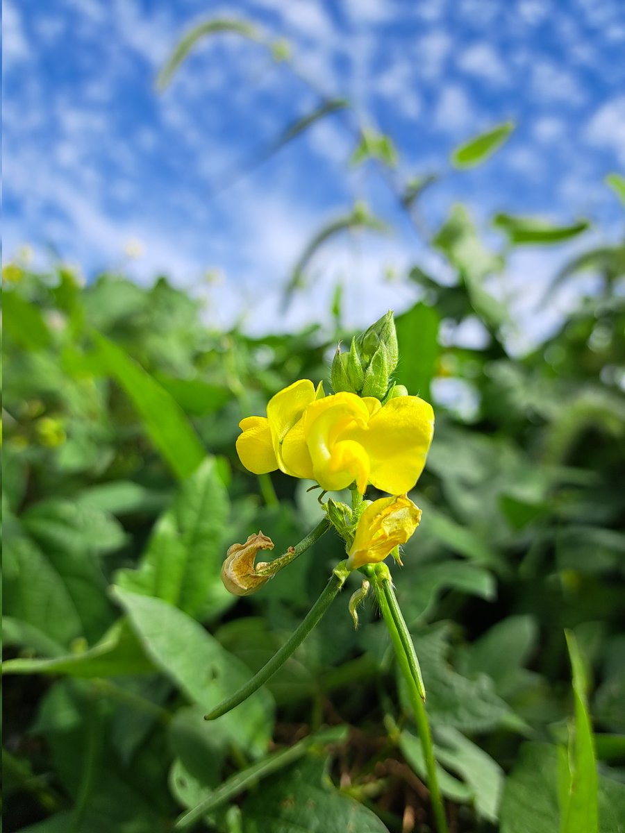 おはようございます～٩(Ü*)۶

秋らしい青空です
朝晩と幾分涼しくなりましたね

月曜日🗓働く週間開始です‼️
ぼちぼちで( ˶˙º˙˶ )୨ｶﾞﾝﾊﾞ

ではでは👋
今週も宜しくお願いします
良き笑顔で行ってらっしゃい～