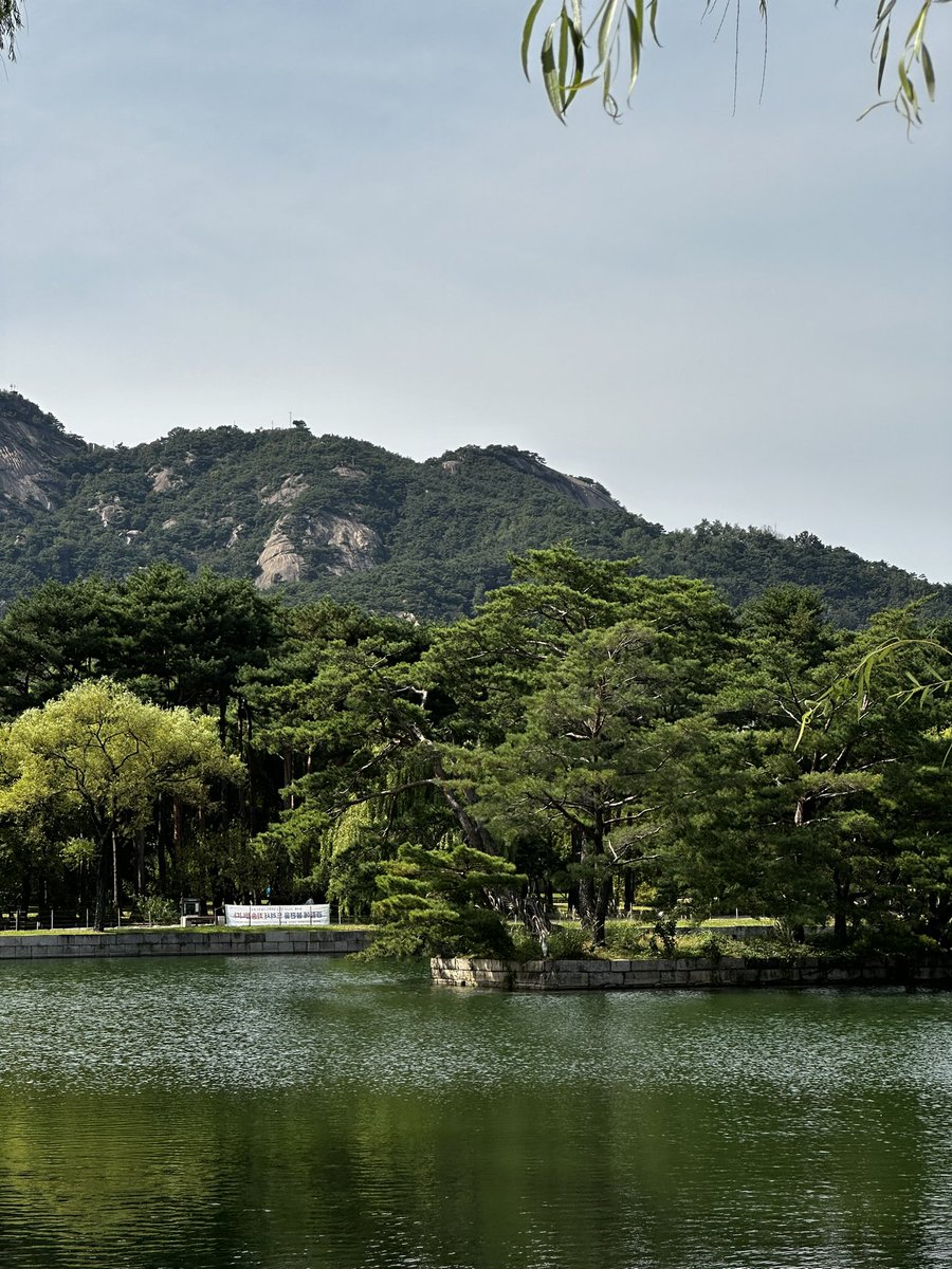 ¡Ivan! 🇵🇸 tweet media