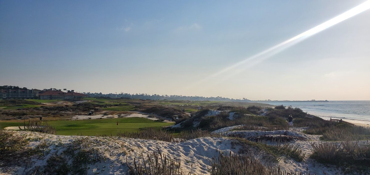 Wilder_Lab's tweet image. The Wilder Lab making a showing at the UCSF-UCB Immunology retreat this weekend. Great science and network but next time I need to make it on the greens. ⛳️
