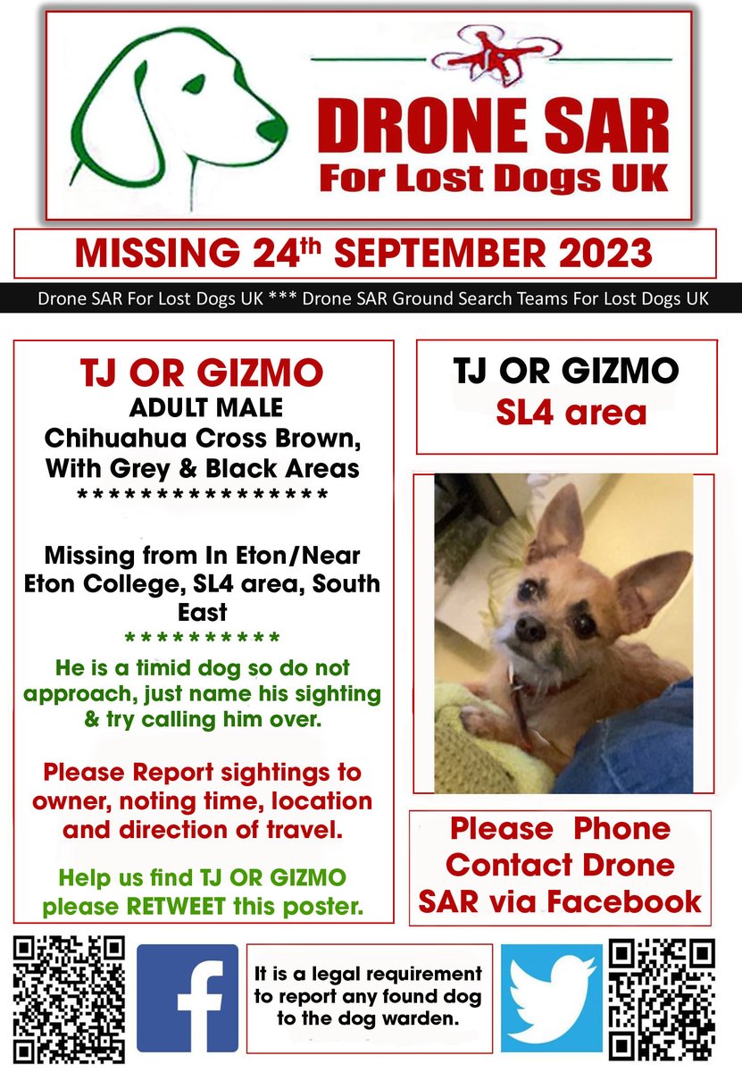 #LostDog #Alert TJ OR GIZMO Male Chihuahua Cross Brown, With Grey & Black Areas (Age: Adult) Missing from In Eton/Near Eton College, SL4 area, South East on Sunday, 24th September 2023 #DroneSAR #MissingDog
