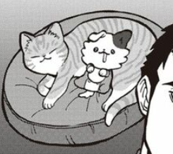 今週のかわ乾
本編で探してみてください🐶🔍
https://t.co/wP9sHVBwaR

#この探偵犬かもしれない 