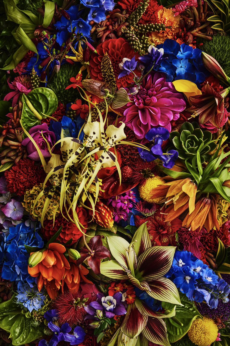 Flowers まとめ Flowers まとめ Zx flux flower top