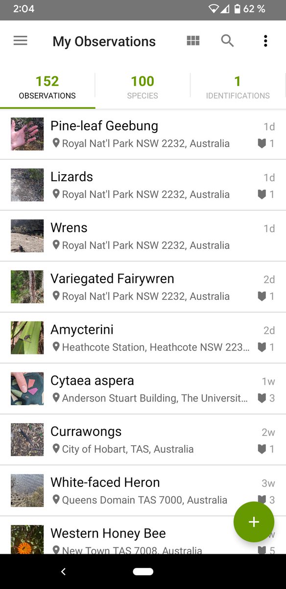 Klementine Burrell-Sander tweet media