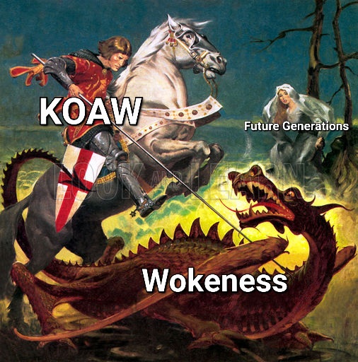 Knights Order Against Wokeness tweet media