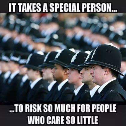 Lee Piper (Pip) tweet media