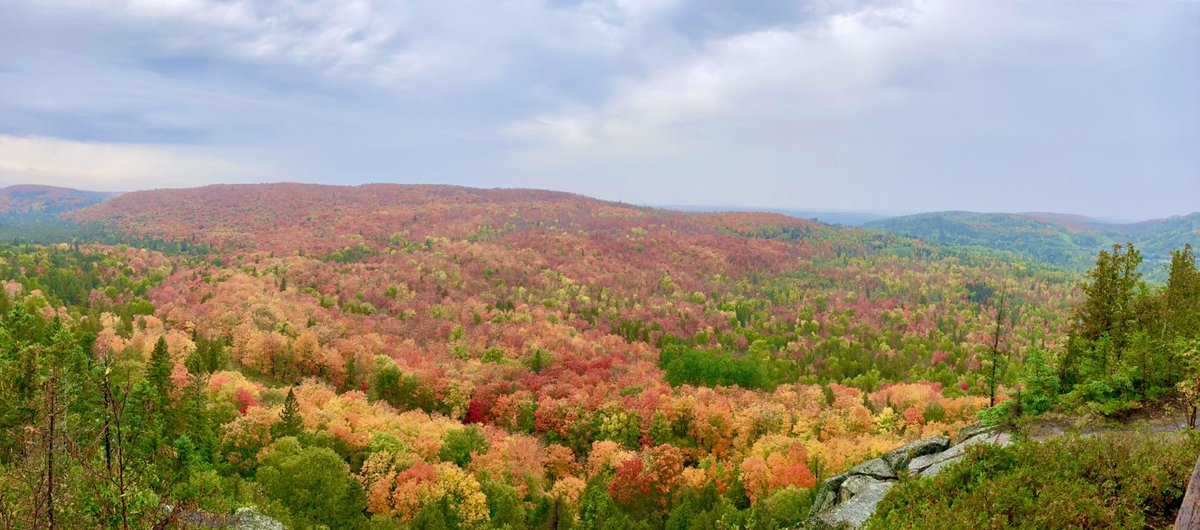 SeeDaneRun's tweet image. Them Fall colors be poppin in #Lutsen today.