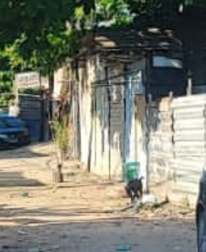 Opesadelo01's tweet photo. Equipe do choque em patrulhamento na tarde de hoje recebeu informação que uma banca de drogas estava montada enfrente av canal do anil 288 imediatamente a equipe foi ao local e acabou com a banca .
#choque / #6cia https://t.co/wUsGbQc84r
