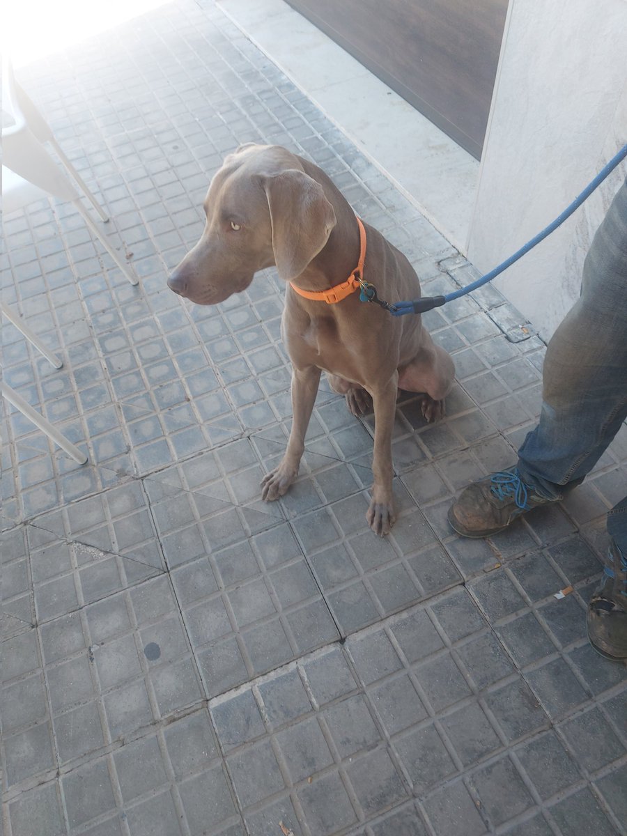 mekitao's tweet image. #LaborDayWeekend2023