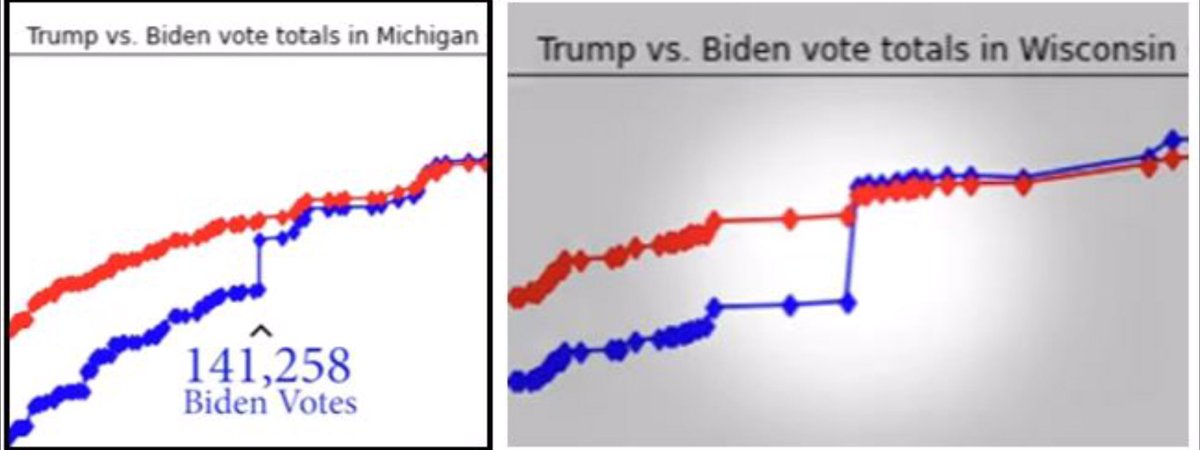 gailboswell2113's tweet image. 