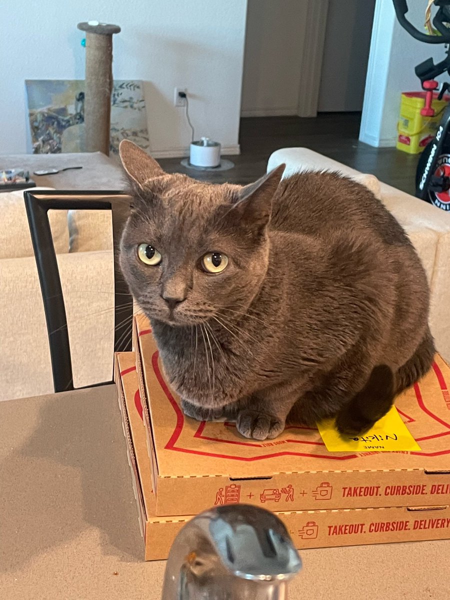 KodyAnderson's tweet photo. I don’t know how many of my friends still get on here, but life update: we had to say goodbye to our sweet Luna girl and we welcomed Laya to our family. Luckily, she got to play and cuddle with her big sister for several months. https://t.co/NMpalibBjb