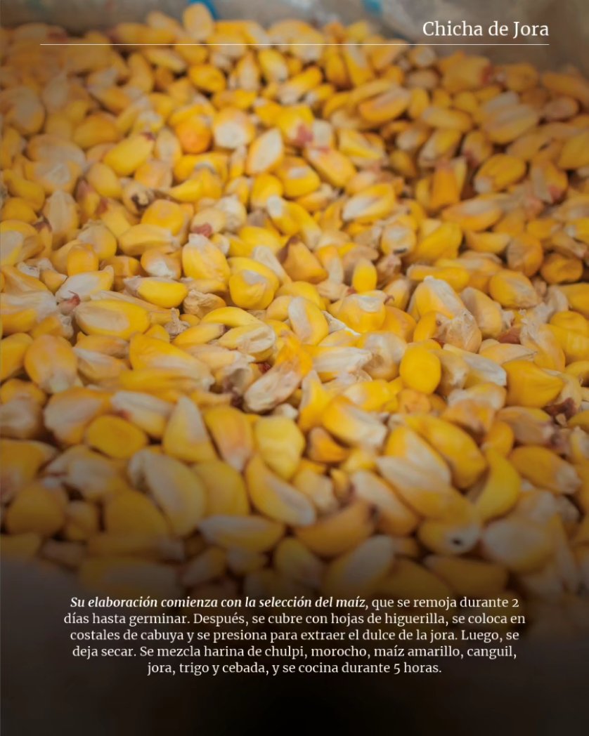 Viaja Ecuador tweet media