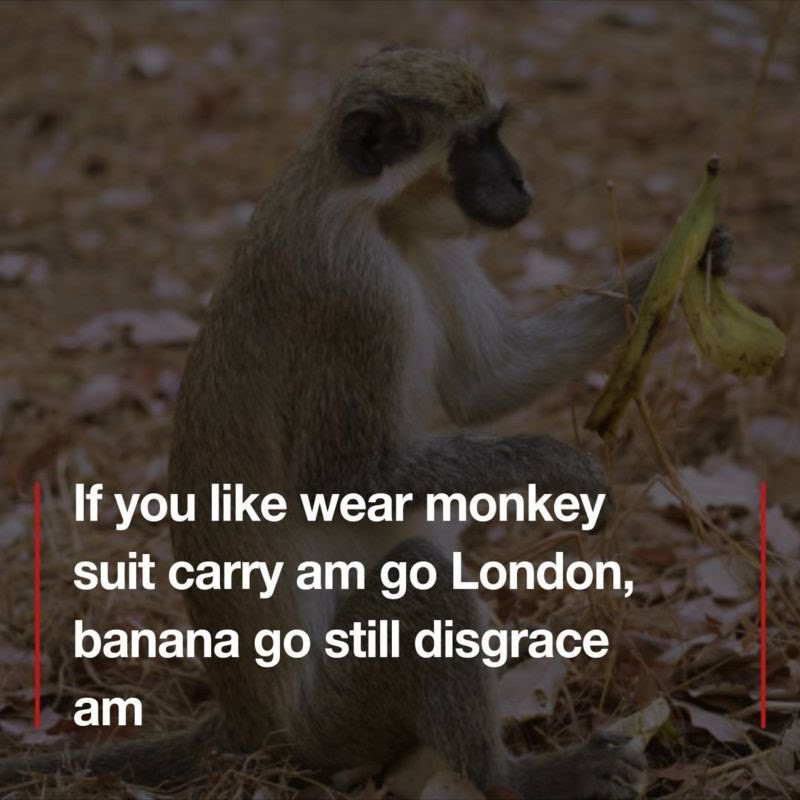 jallohdauda2's tweet photo. @bbcnewspidgin Yes na ihn  go make you shame https://t.co/6qkjCMYpps