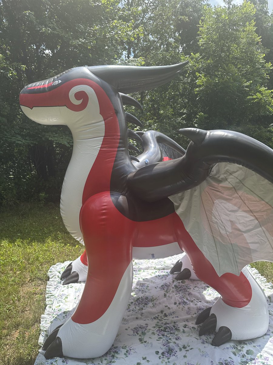 Brodragon tweet media