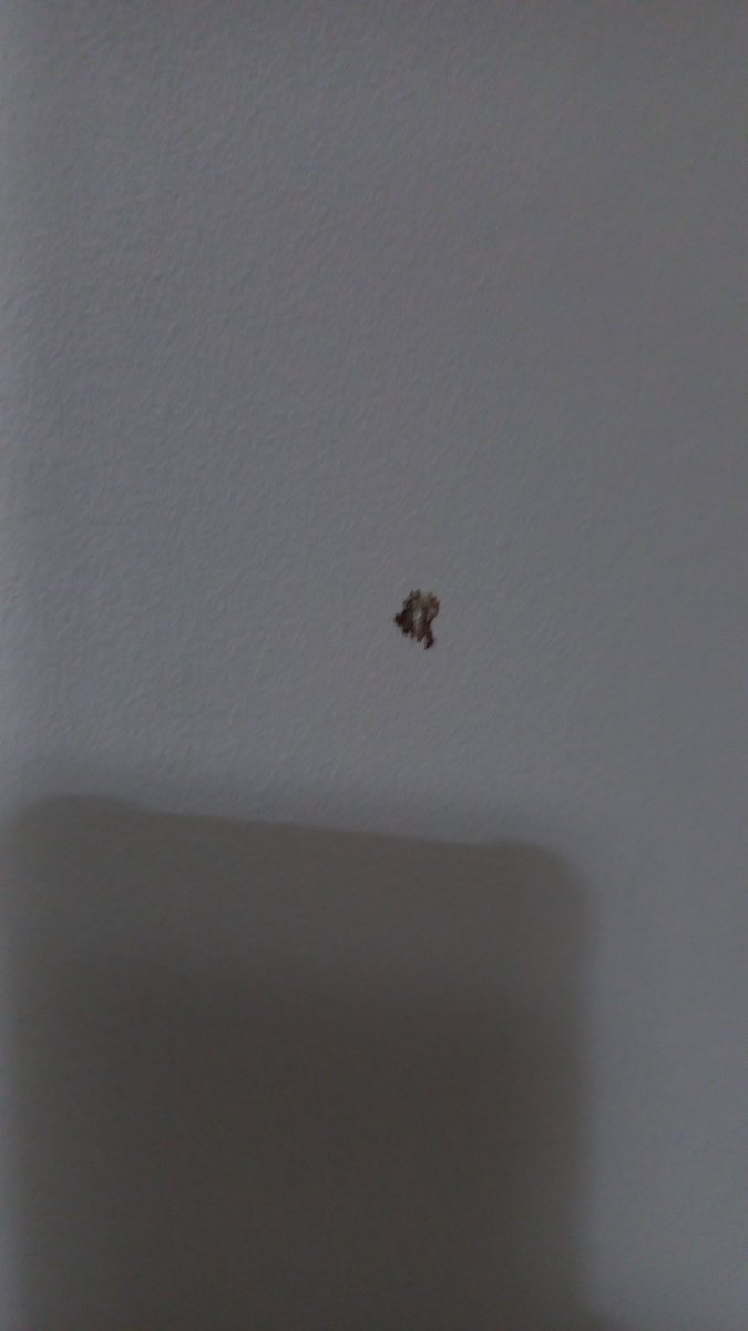 Atohcap's tweet image. Una mancha, un camino, ottawa de por medio, a darlo todo muchachos. La vida es... vos... no sos... no?