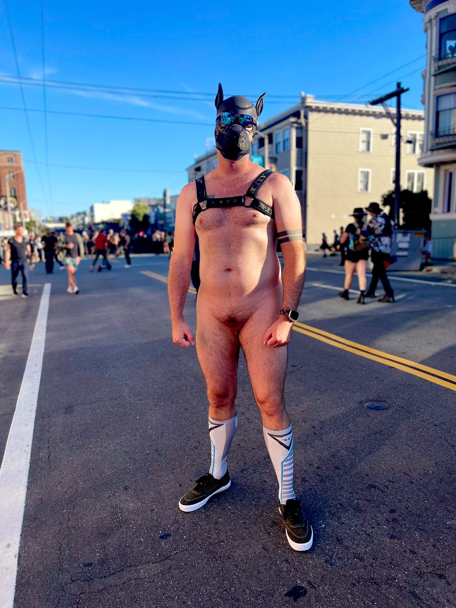 Pup Loki tweet media