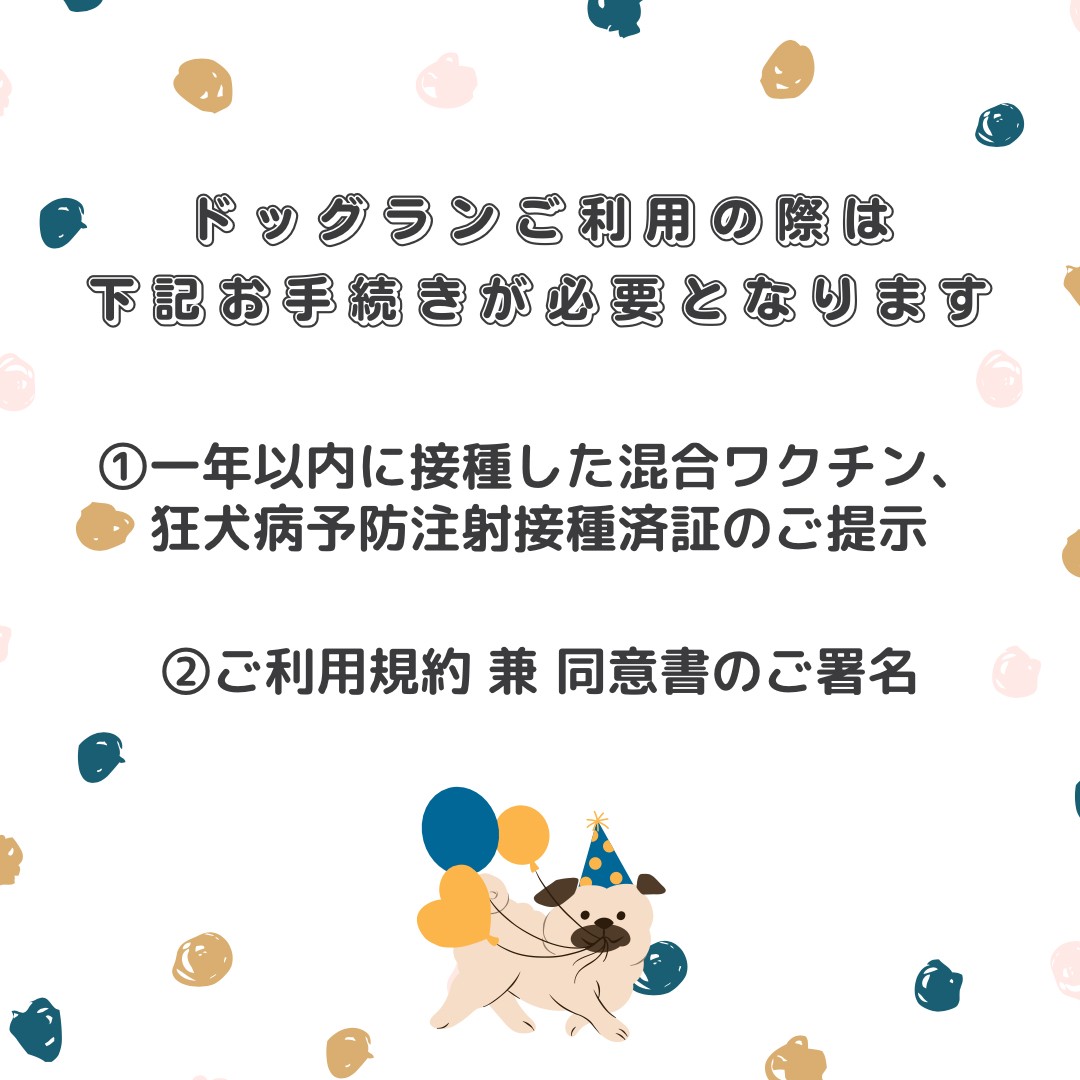 のん たけたけ tweet media