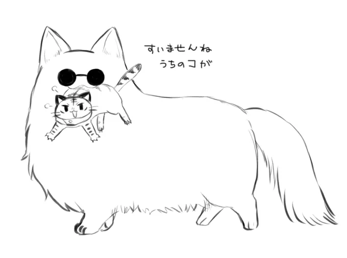 🐱…… 