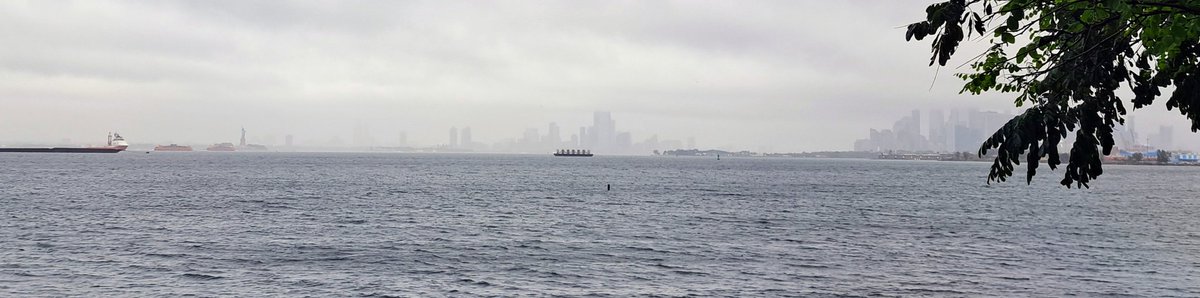 A view of NYC from 
Bush Terminal Piers Park #StatenIslandFerry #StatueofLiberty