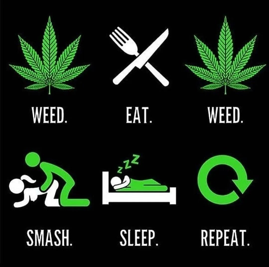 GeniusPothead 💹🧲 tweet media