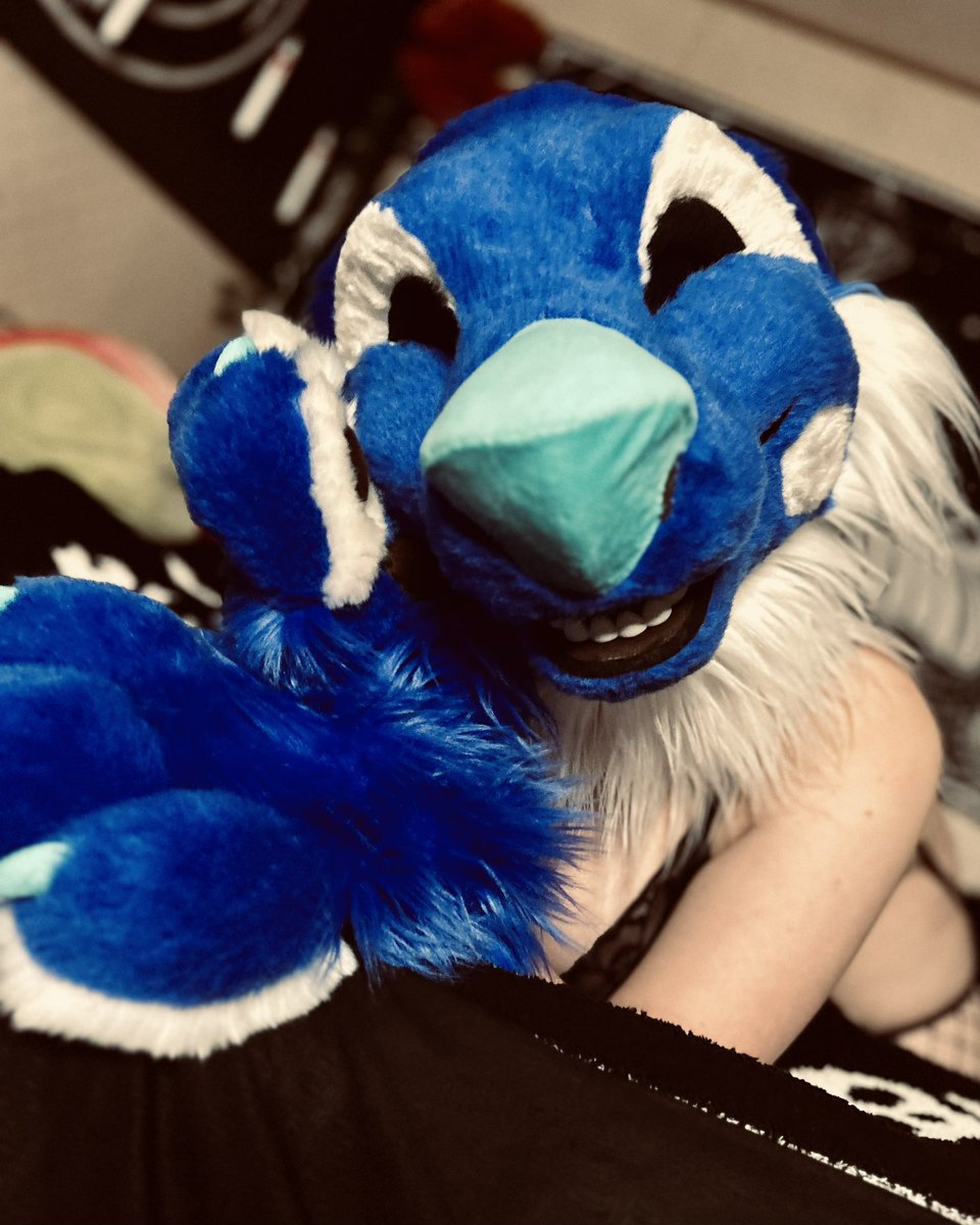 adrestia5010_AD's tweet photo. Iโm always told I have such a lovely smile
#furries #fursuit #fursuiter #murr #softsuiting #slutsuiting https://t.co/YPoJ1IQSCi