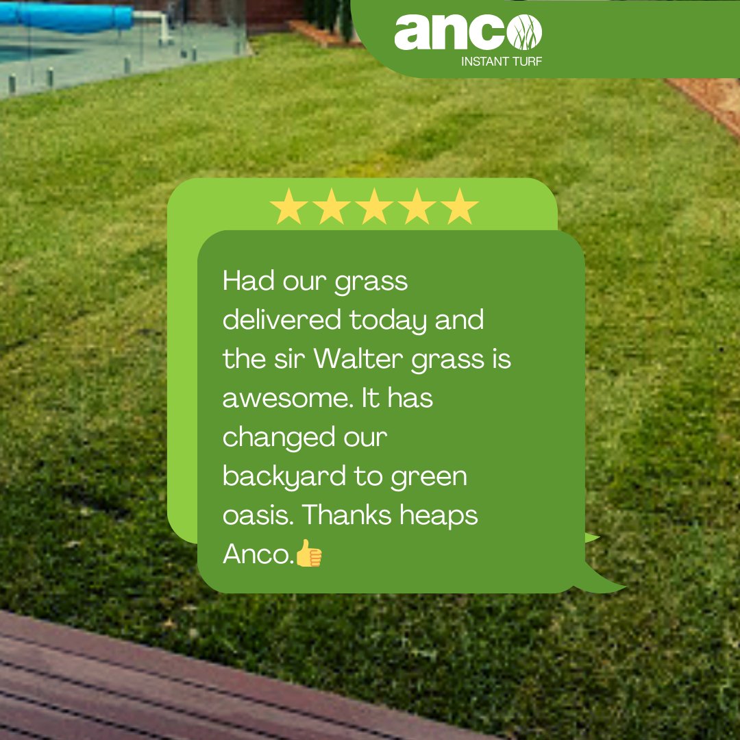 Ancoinstantturf's tweet photo. There’s nothing like growing a green oasis to help you enjoy your home and new investment even more!💚🌿
.
If you have purchased turf or lawn care products from us, we would love to receive your feedback on Google, and be sure to tag @ancoturf in your uploads on insta so we c ... https://t.co/wSEWuJOAW8
